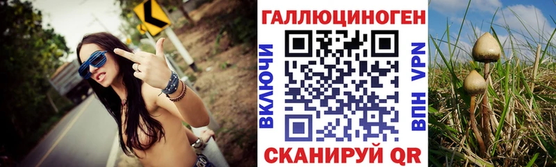 как найти закладки  Кызыл  hydra tor  Псилоцибиновые грибы прущие грибы 